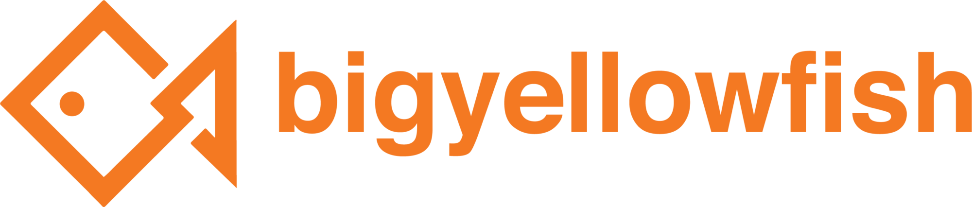 BYF Logo_Orange